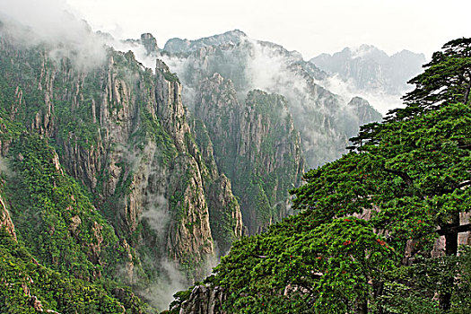 迷烟广州货到付款C1B8D97C5-18975